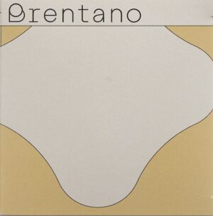 BRENTANO Kräutertee Frauenmantel+ Ds 42 g